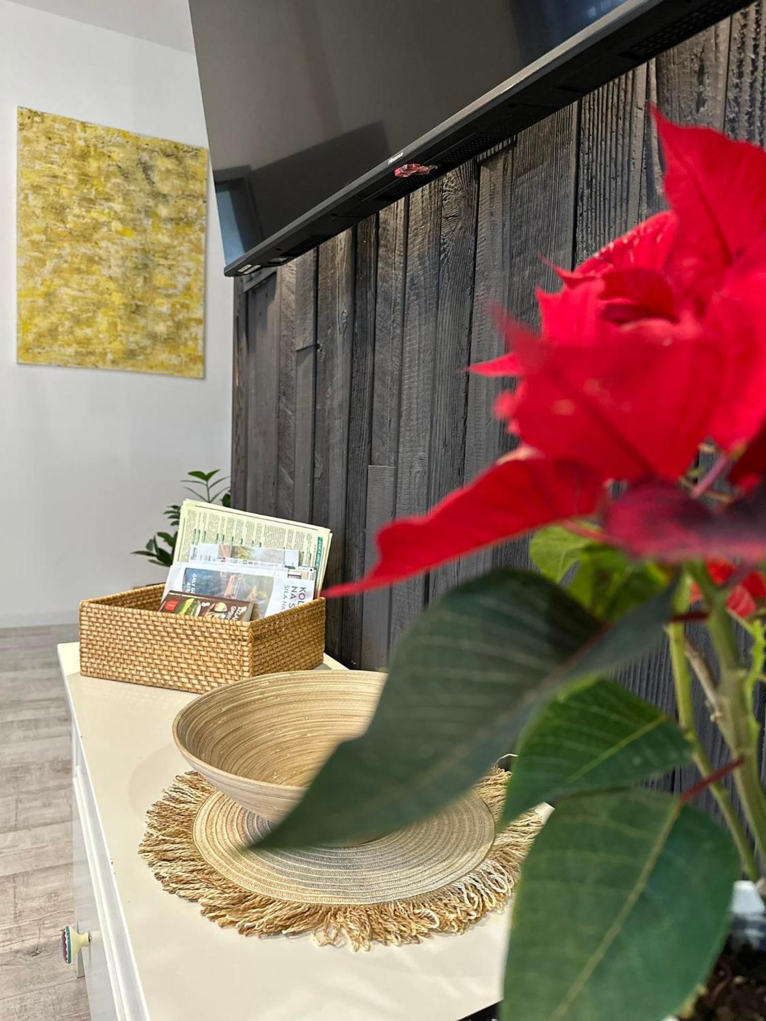 Apartament Fajny Kat ウストシキ・ドルネ エクステリア 写真