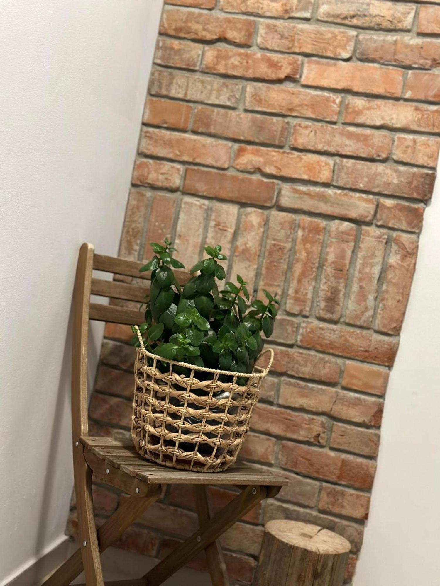 Apartament Fajny Kat ウストシキ・ドルネ エクステリア 写真